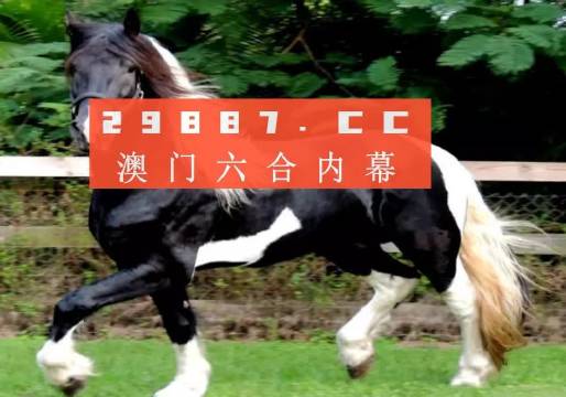 澳门和香港宣布一肖一特24码一中合法,精选解析、专家解析解释与落实