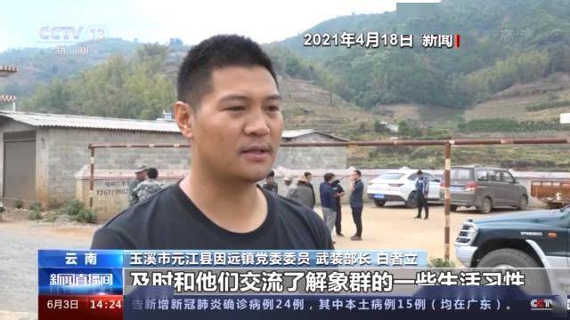 澳门与香港一码一肖一待一中四不像,详细解答、专家解读解释与落实-警惕虚假宣传-详细解答、专家解读解释与落实